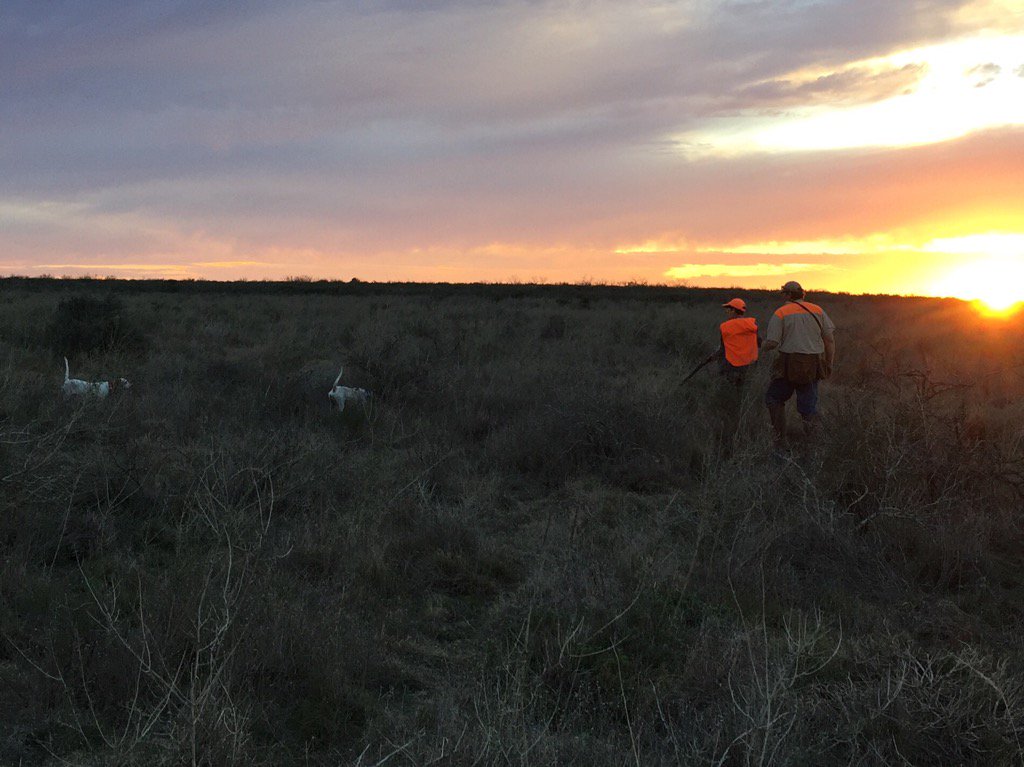 Beautiful scene from today's <a href="/TexasBrigades/">江门</a> top covey hunt. Thanks <a href="/TPWDwild/">TPWD Wild</a> <a href="/texaswildlife/">Texas Wildlife Assoc</a> <a href="/NRCSTexas/">NRCS Texas</a>
