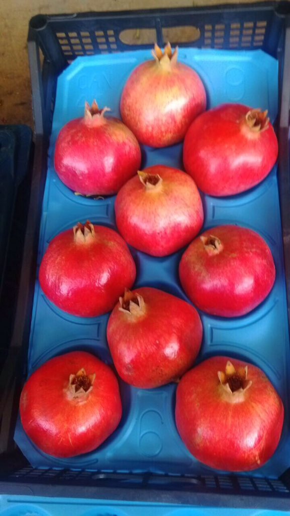 ProduceClass's tweet image. #poomy