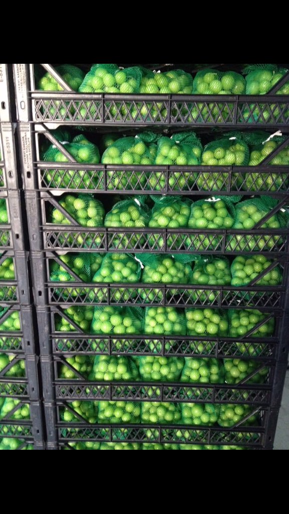 ProduceClass's tweet image. #row #plum