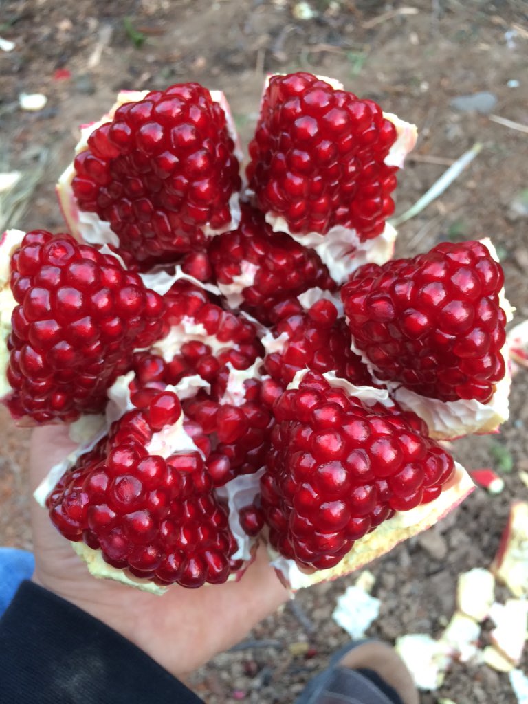 ProduceClass's tweet image. 