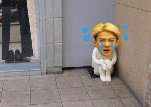 kristaohan_exo's tweet photo. #HUNHAN #XIUHAN #XIUHUNHAN 😭😭😭😭
EXOL's like: https://t.co/ZG4Nr0ktVc