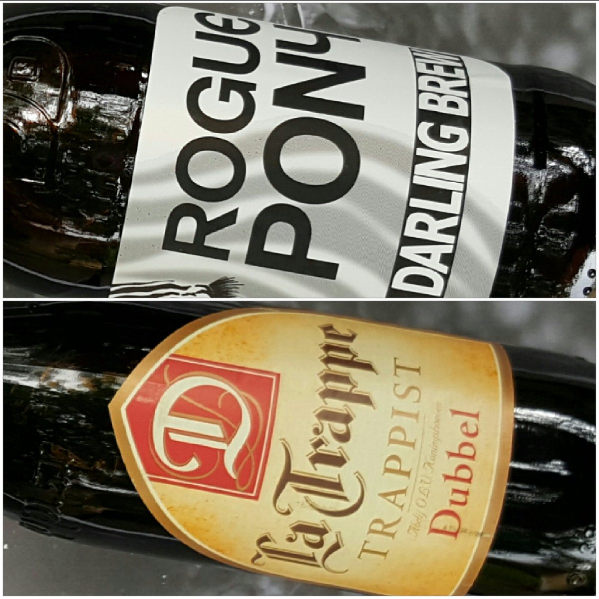 So I am trying to decide which one of these will be my #tastingleague #beertweets today? Any thoughts? #beertweets
