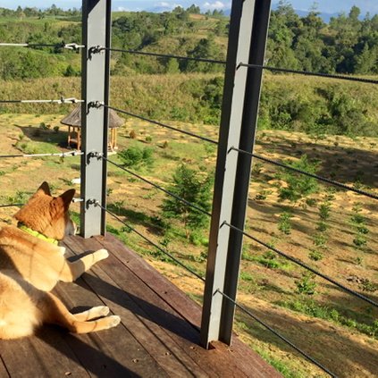 A room with a view. #ecotourism #Simalungun #sumatra #organic #coffeefarm #relax