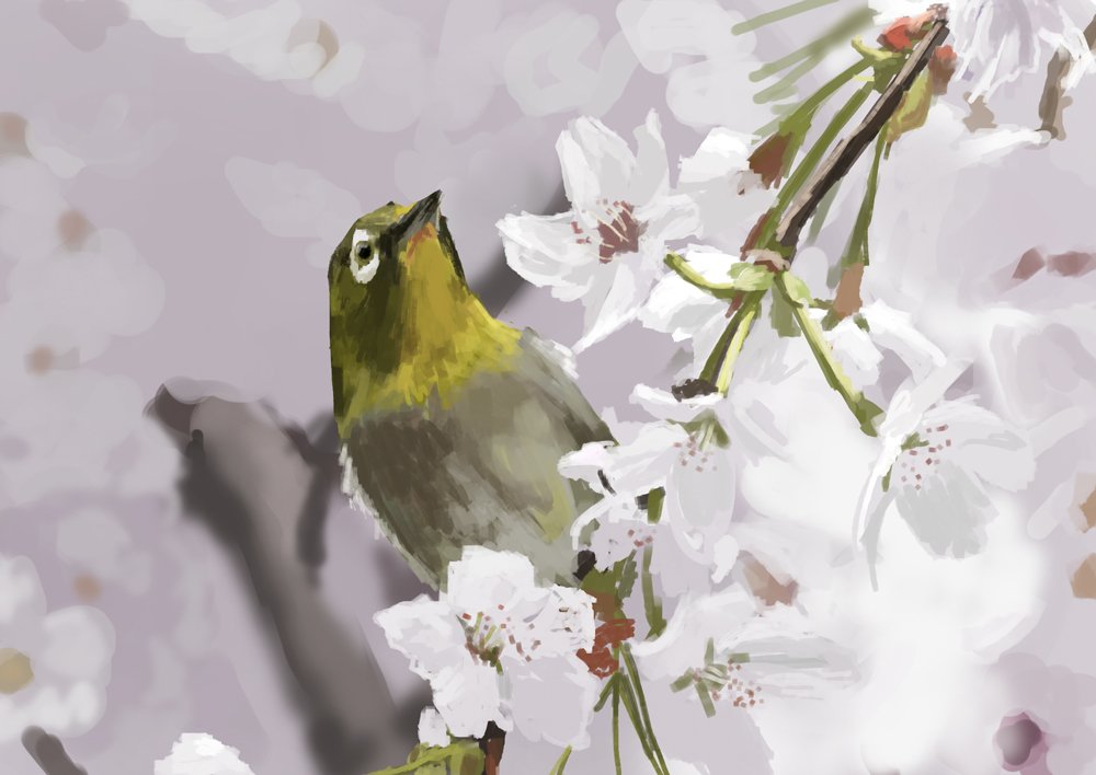 リアル絵練習ズ 