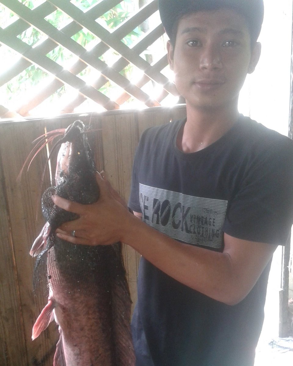 ipankrezza's tweet image. 