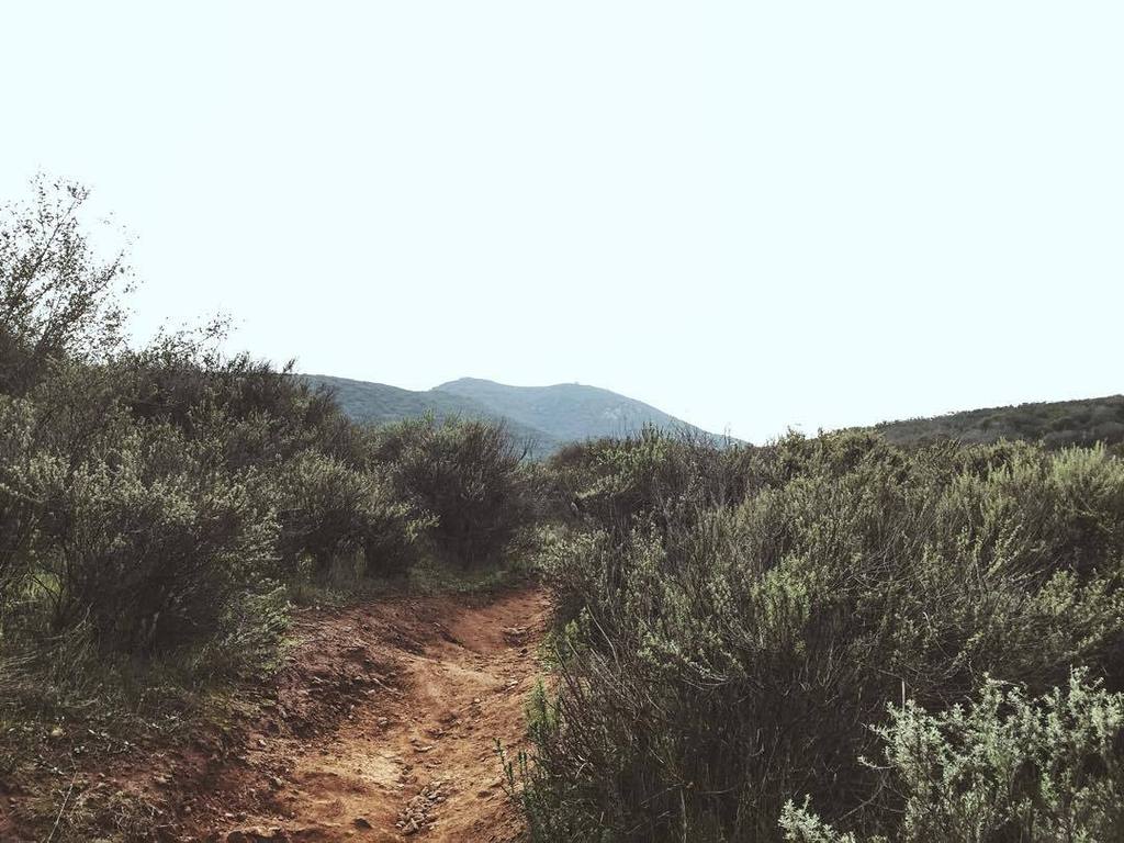 DearSummitCo's tweet photo. "It is good to collect things; it is better to take walks." - Anatole France
↟
#anatolefrance #visualfolk #keepitwi… https://t.co/gXbJb3XkpU