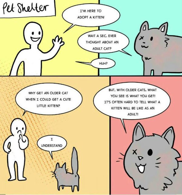 crazylifefacts_'s tweet image. Im totally not crying or anything.. please adopt