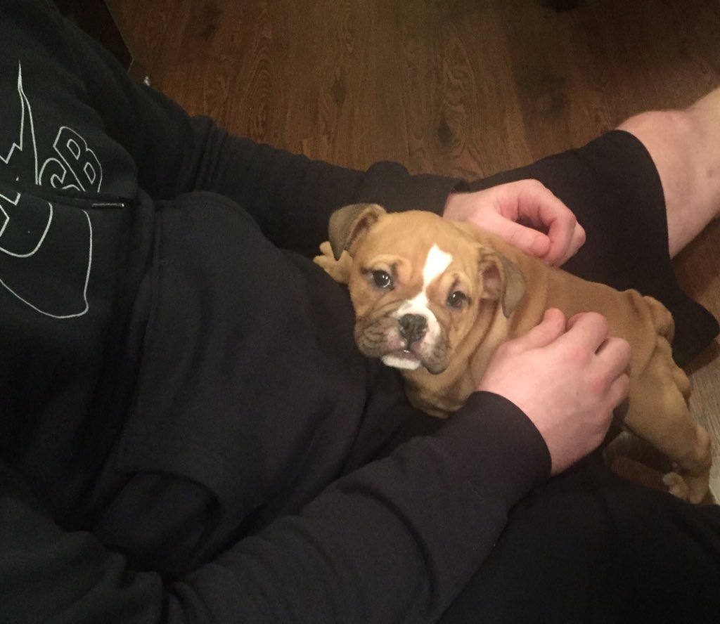 Welcome to the fam, Lincoln