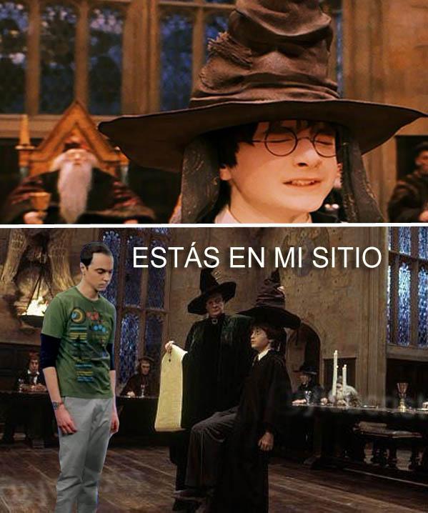 HogwartsPlagios's tweet image. Sheldon no se lo perdona ni al mismísimo Harry Potter