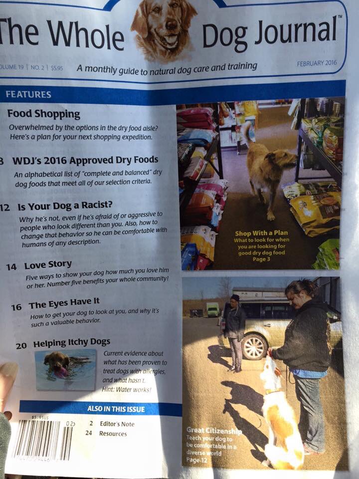 amoertle's tweet photo. Oh hey look!! My dog Joey and I are on the cover of The Whole Dog Journal!!! How awesome is that?? #famous https://t.co/xlhJwC3Jr2