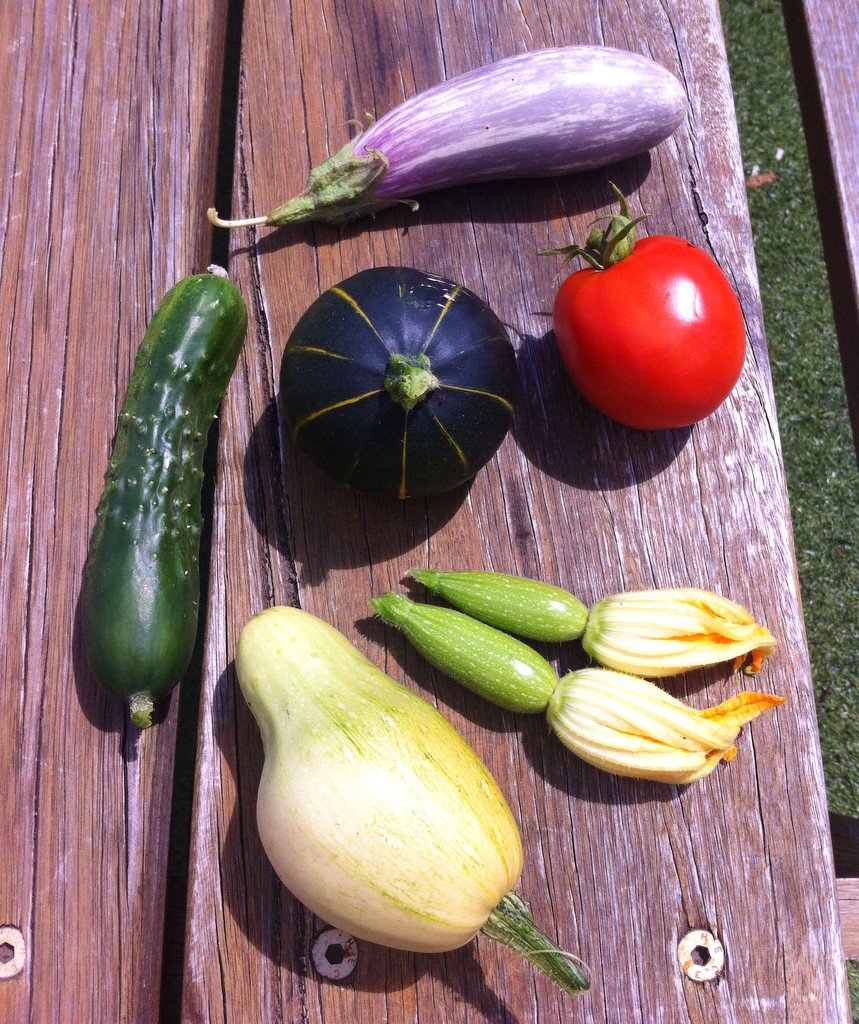 A small harvest of #heirloom veggies from my patch <a href="/LittleVegPatch/">LittleVeggiePatchCo</a> #freshproduce #healthyeats #homegrown