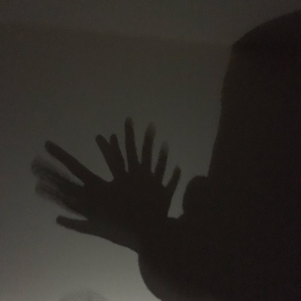 SeattlePlaydate's tweet photo. In a #Seattle blackout, @KIRO7Seattle, we shall play #ShadowPuppets. Or more like #Shadowhunters. #SeattlePlaydate https://t.co/zQ01DucLl0