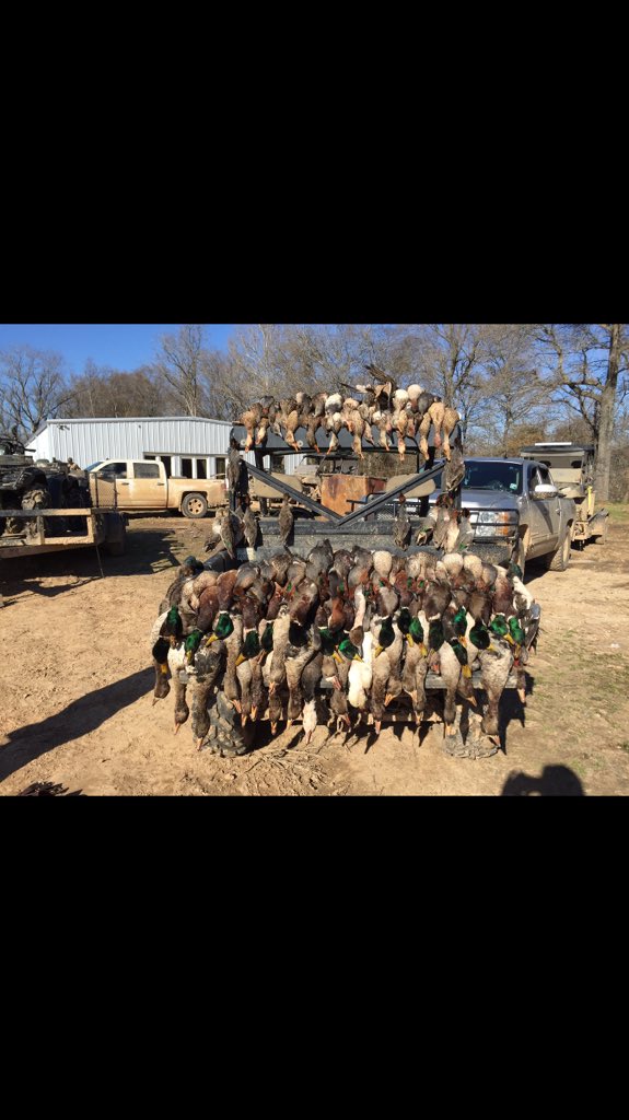 CA_Calloway's tweet photo. #drakewaterfowl #getducks #commanderscorner https://t.co/bRzPvVIel3
