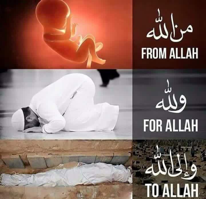 drhakkim's tweet photo. #fromallah #forallah #toallah https://t.co/MhcHUXG5wK