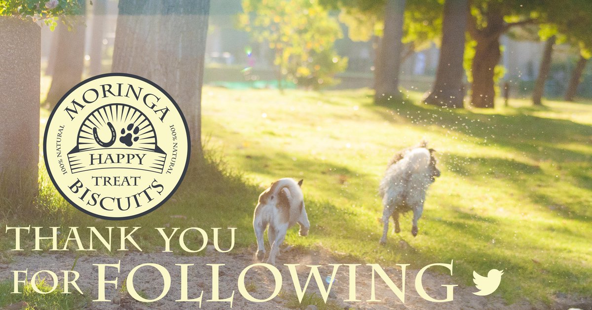 Happy_Biscuits's tweet photo. THANK you for the FOLLOW! @EnviroNewsTV @CoolPetVideo @Fit_4_Women @pitbull_spencer https://t.co/R3DJ4r0Ubz