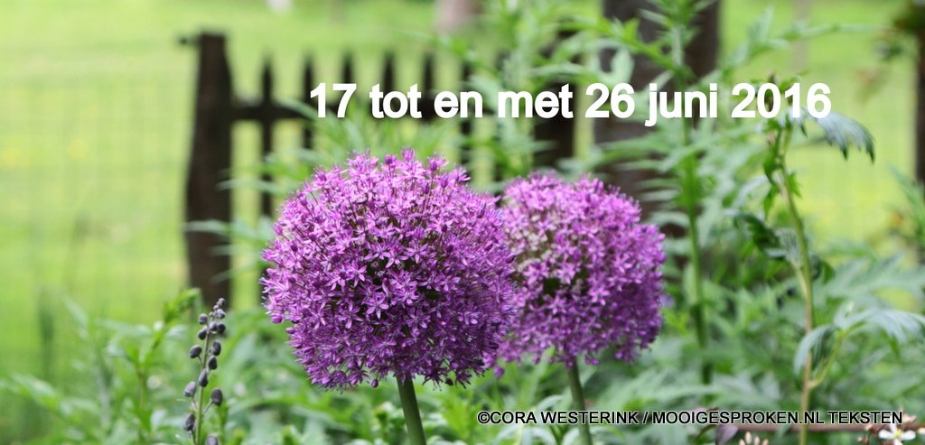 Tien dagen tuinen en kunst. Volg ons ook op Facebook voor uitgebreide tuinbeschrijvingen! facebook.com/westerwolderij…