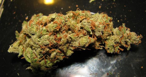 TheDarkStudy's tweet photo. 5 Proven Reasons Why Every Adult Should Consume #Cannabis Before Bed https://t.co/W3UTm0C9v0

#DumpDebbie https://t.co/PXWq1ZuaYX