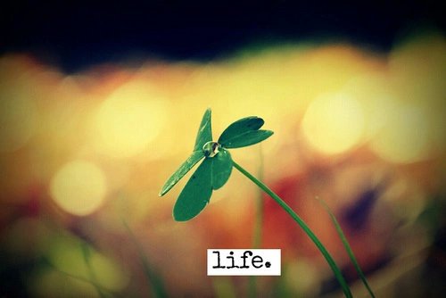 calinalazea's tweet photo. https://t.co/VVPPzkQZhy