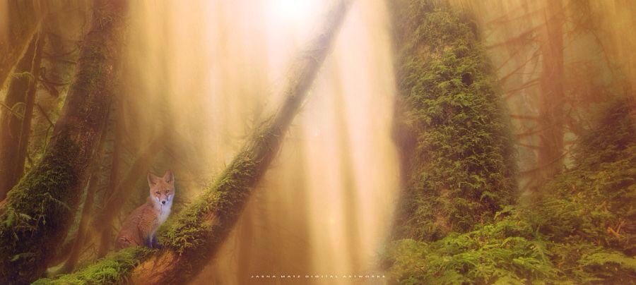 We need Joy as we need air
We need Love as we need water
We need each other as we need the earth we share

M Angelou