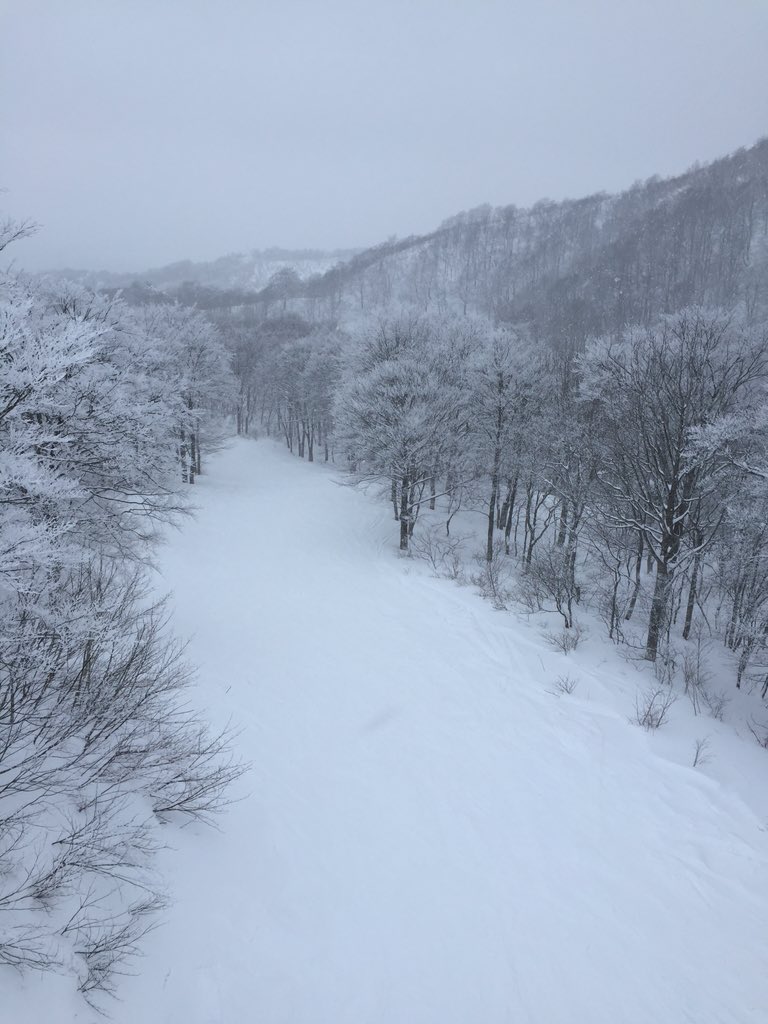 スノボ同好会 栗子国際スキー場 16 01 31 雪質 良好 パウダーあり 天気 雪 風 中風から強風 全コース滑走可能 リフト券安め T Co Mrvx279i