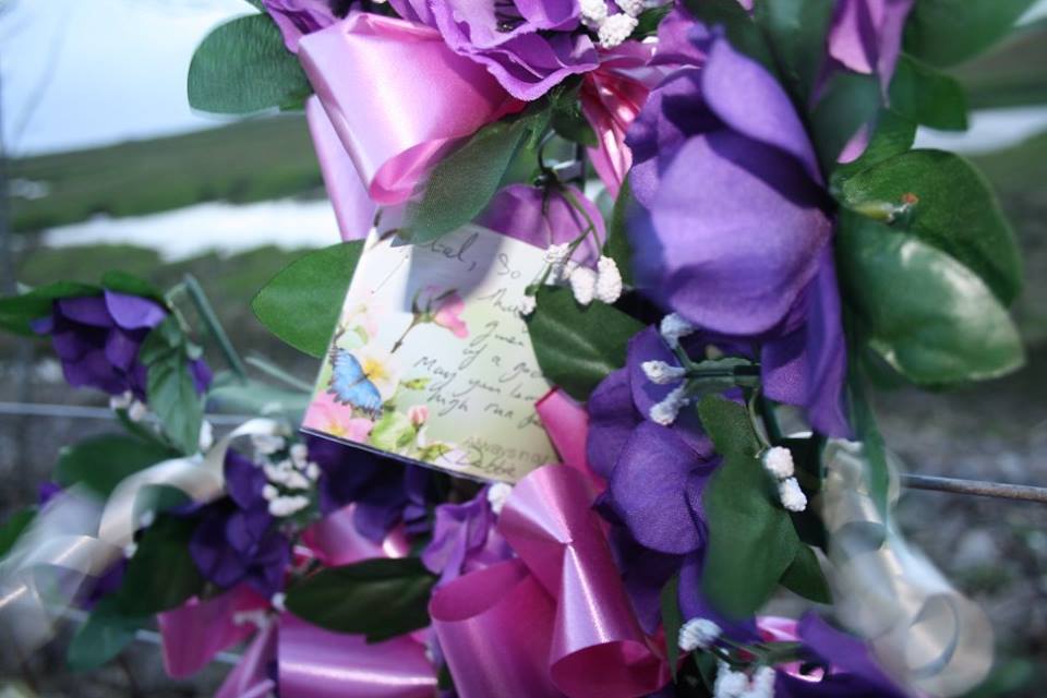 shutdownBV's tweet photo. Flowers laid for Petal, #greyhound found dead with ears cut off, typical of owners who want their ID removed. https://t.co/kVHcirbFoQ