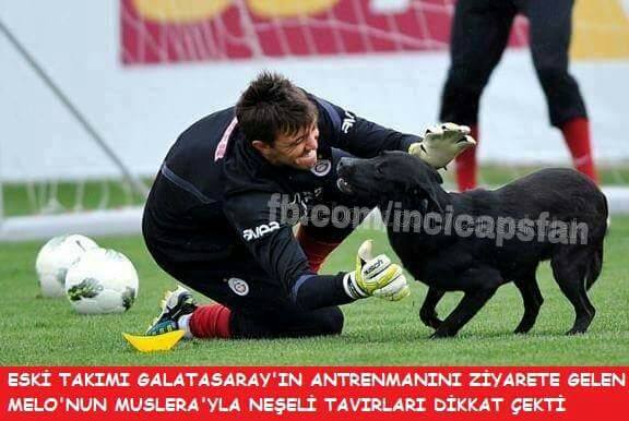 asdsdflşkjsdakljşklsdasdsfd