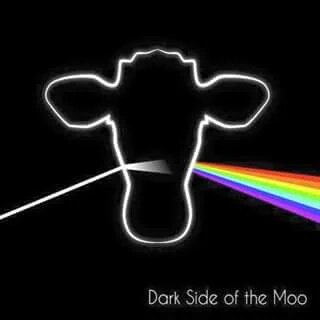 juliapowles's tweet photo. #CPDP2016 post https://t.co/GNrIEAkhjA
@MartinSchulz @Buttarelli_G @FrankPasquale @BrusselsGeek
ACE PIC @dairymanNZ! https://t.co/Lw1LaMOgBI