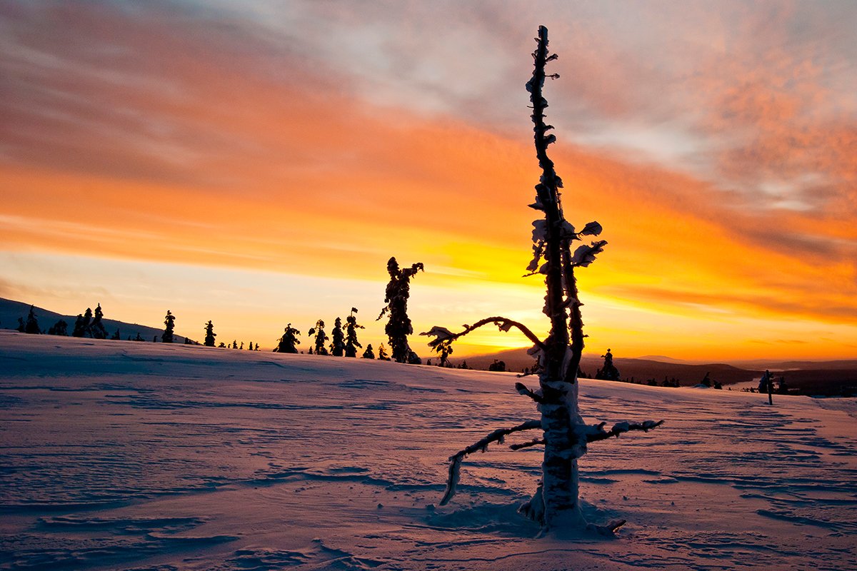 goodnewsfinland's tweet photo. RT @onlyinlapland: Something that’s hard to find these days: a total lack of distractions. #Lapland #Finland https://t.co/8mpZv9bYXI