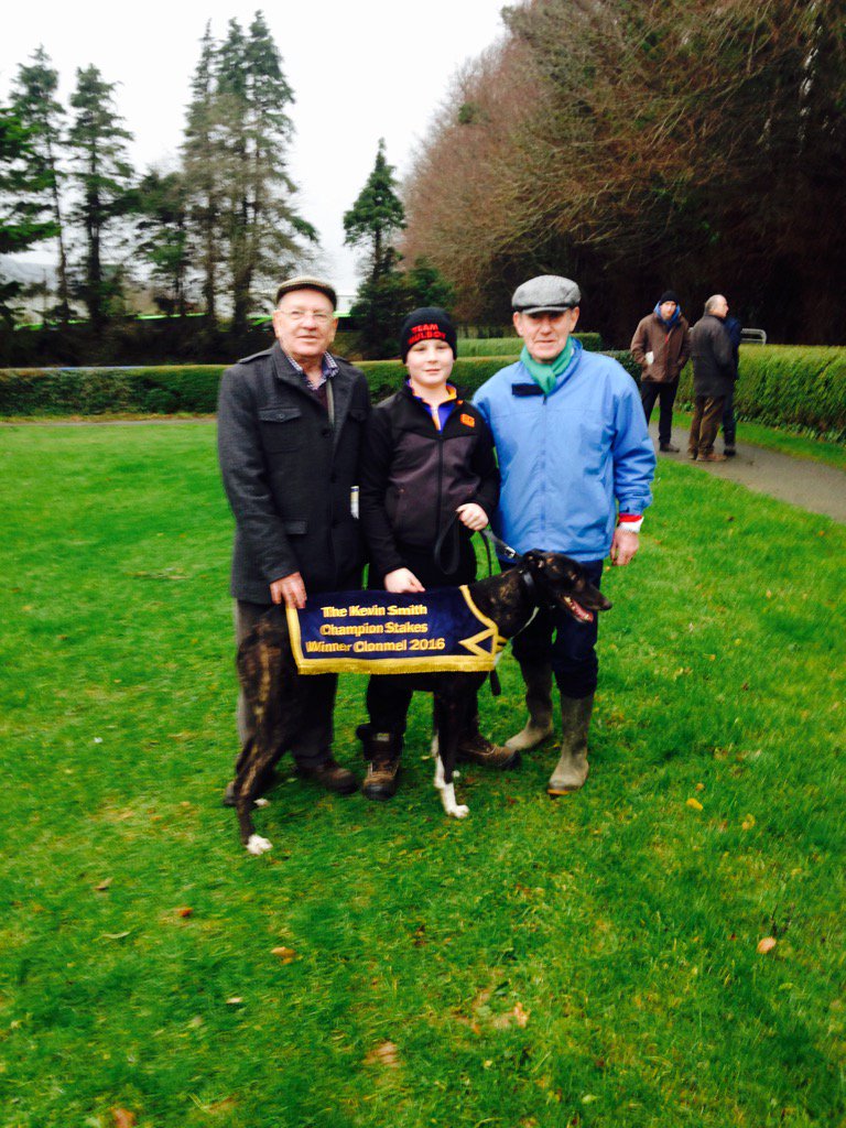 ICC_Coursing's tweet image. Champion Stakes winner Mulboy King #Clonmel2016