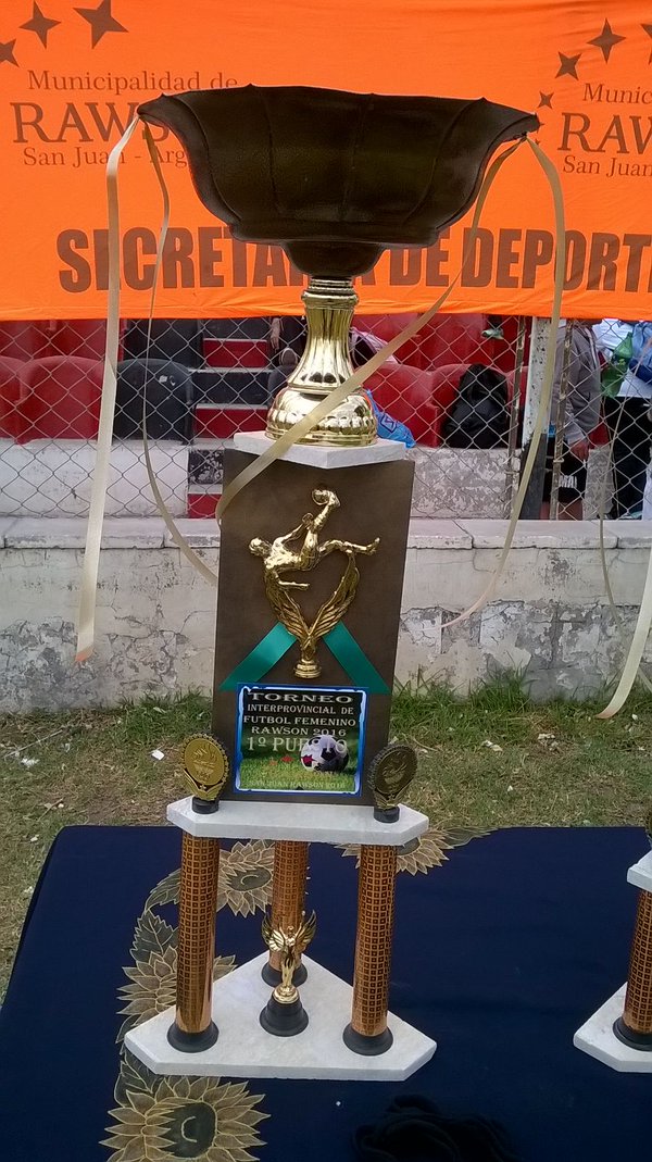 AlmaFC_SanLuis's tweet photo. #COPARAWSON-SANJUAN2016:LA COPA DEL CAMPEÓN.!!Sii sii,Com l escuch La Copa se viene a SAN LUIS.! Salud CAMPEÓNAS.!! https://t.co/ODFLXsiQ7q