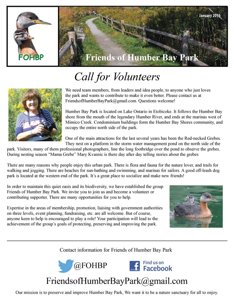 lynromanko's tweet photo. 'Call for Vounteers-#FOHBP #HumberBayPark.Let's keep this park naturalized.Join Feb #CCFEW walk & see for yourself. https://t.co/EekXtZNfU6