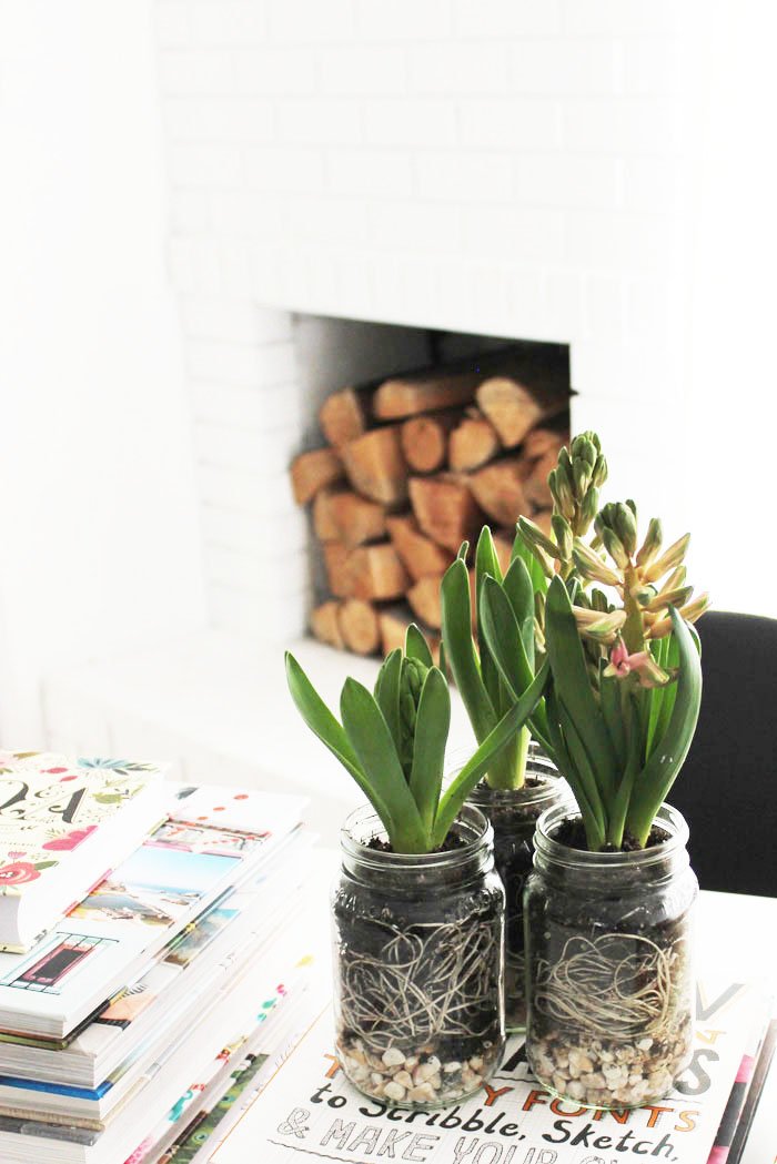 KristieHelms's tweet photo. I do just adore forcing bulbs  https://t.co/BeXKbxhyi5 #smallsecrets https://t.co/tD5xmGZrI6
