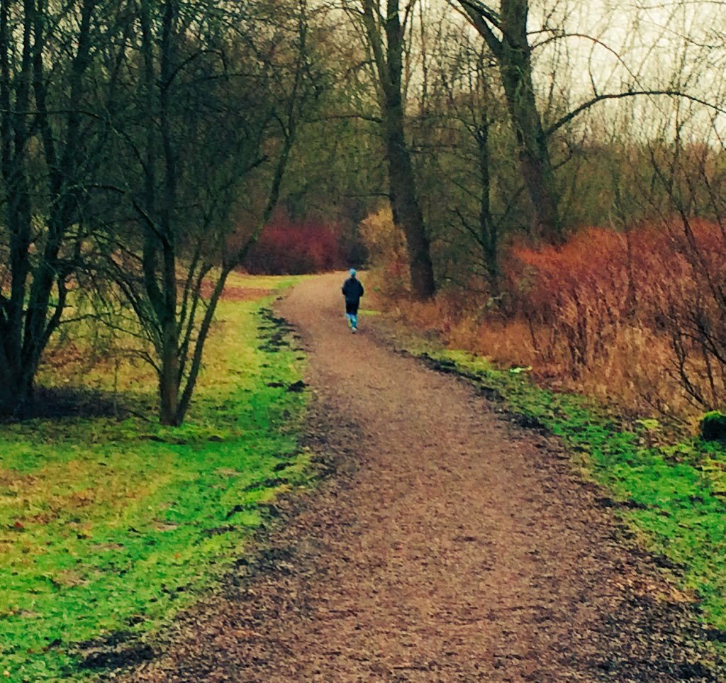 isabrachman's tweet photo. a slightly different format of track practice #Finnbahn 800m track in the woods. @Berlinlaeuft training has begun https://t.co/JMj7BAlJoB