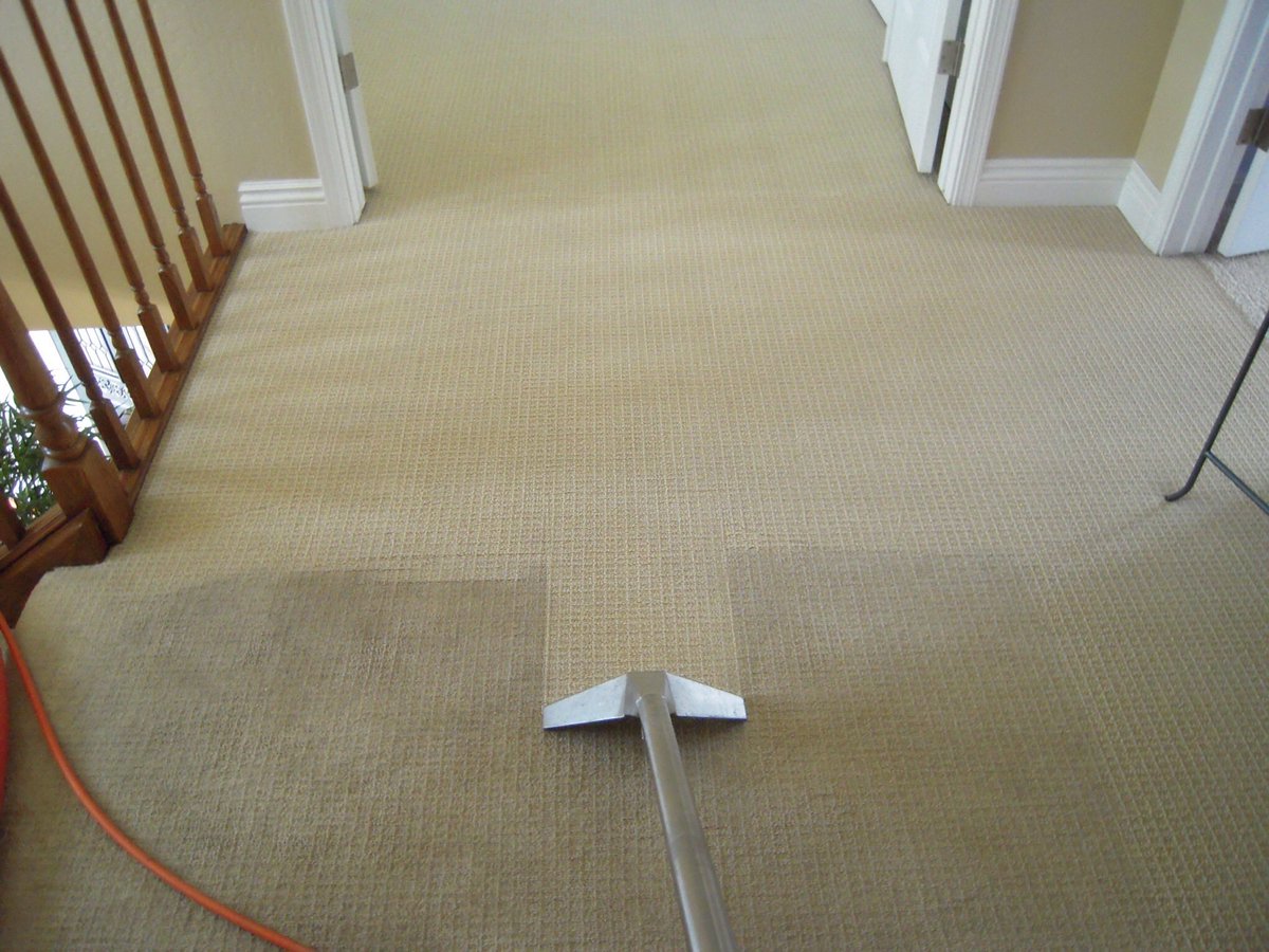 Pfcarpets tweet picture