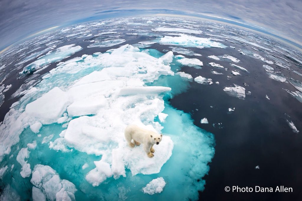 Honor the sacred. 
Honor the Earth, our Mother. 
Honor all with whom we share the Earth.
Walk in balance and beauty.