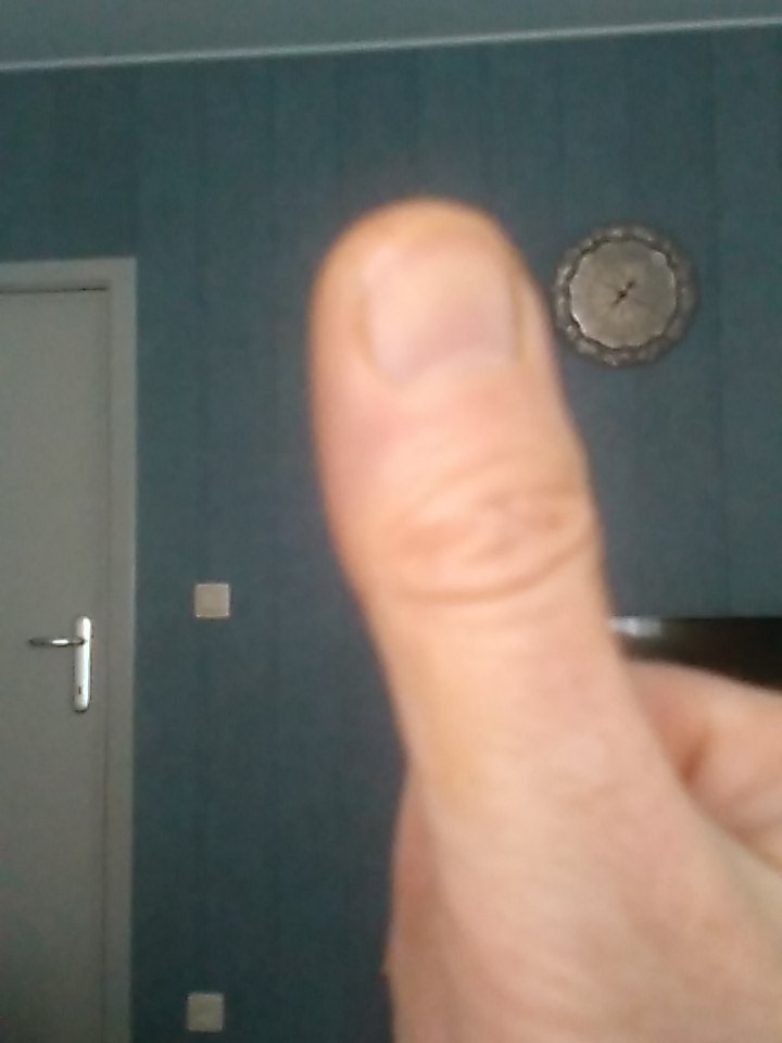 Alfons Kerremans tweet media