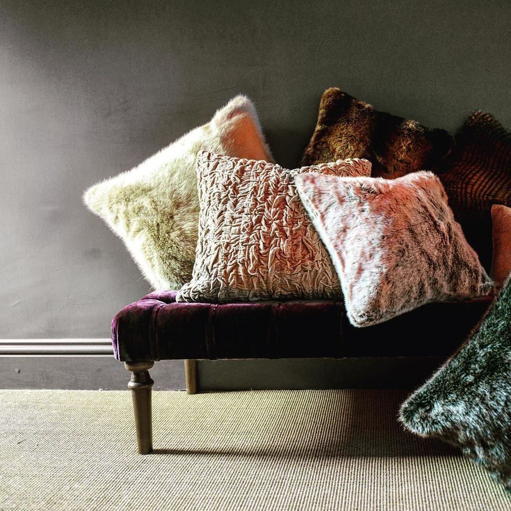 Lizardorchid's tweet photo. #Sunday softness:  a little faux fur #comfort on a #cold and rainy afternoon... https://t.co/pGBR9KMnlf https://t.co/7X00XPEjXY