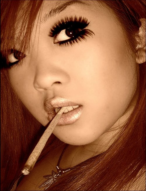 HardcorJollies's tweet photo. #weedmovies #stonerbeauties #GirlNextDoor #HotIsCool @HardcorJollies https://t.co/ZCFkqOK8y9