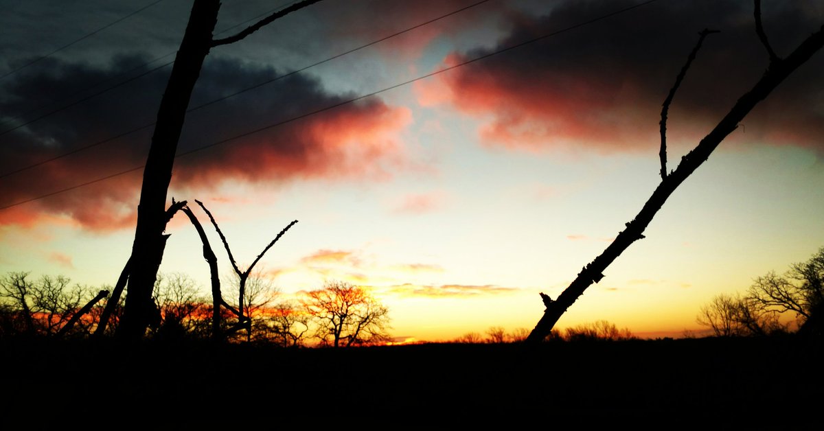 RT <a href="/TTBOutdoors/">T.T.B. Outdoors</a>: Gorgeous morning for a #predator hunt. #Coyotes #bobcats #hunting #oklahomasunrise