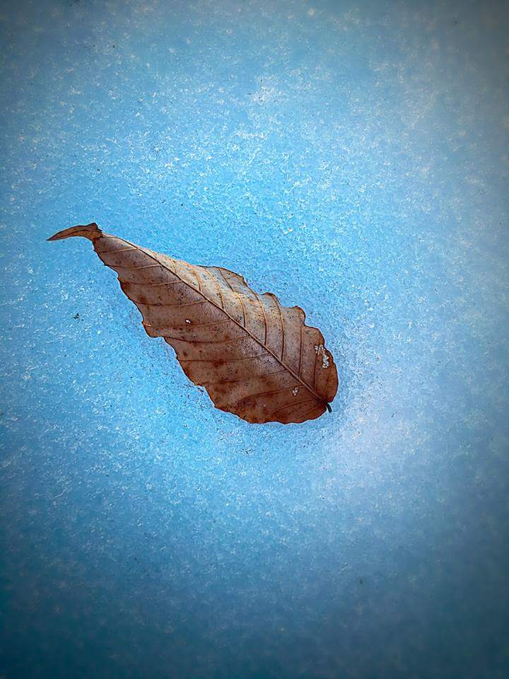 Mikael Vasara (@mikaelvasara2) on Twitter photo 