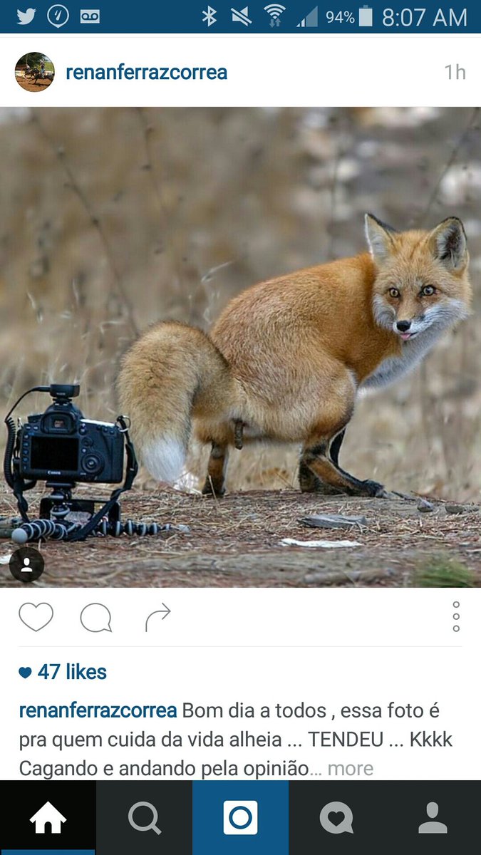 jbradleyhook's tweet photo. Dumb like a fox... https://t.co/ye2eNlXmVI