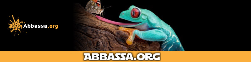 abbassamalik's tweet image. Deconstructing #science from the best minds around.
Enjoy!
abbassa.org