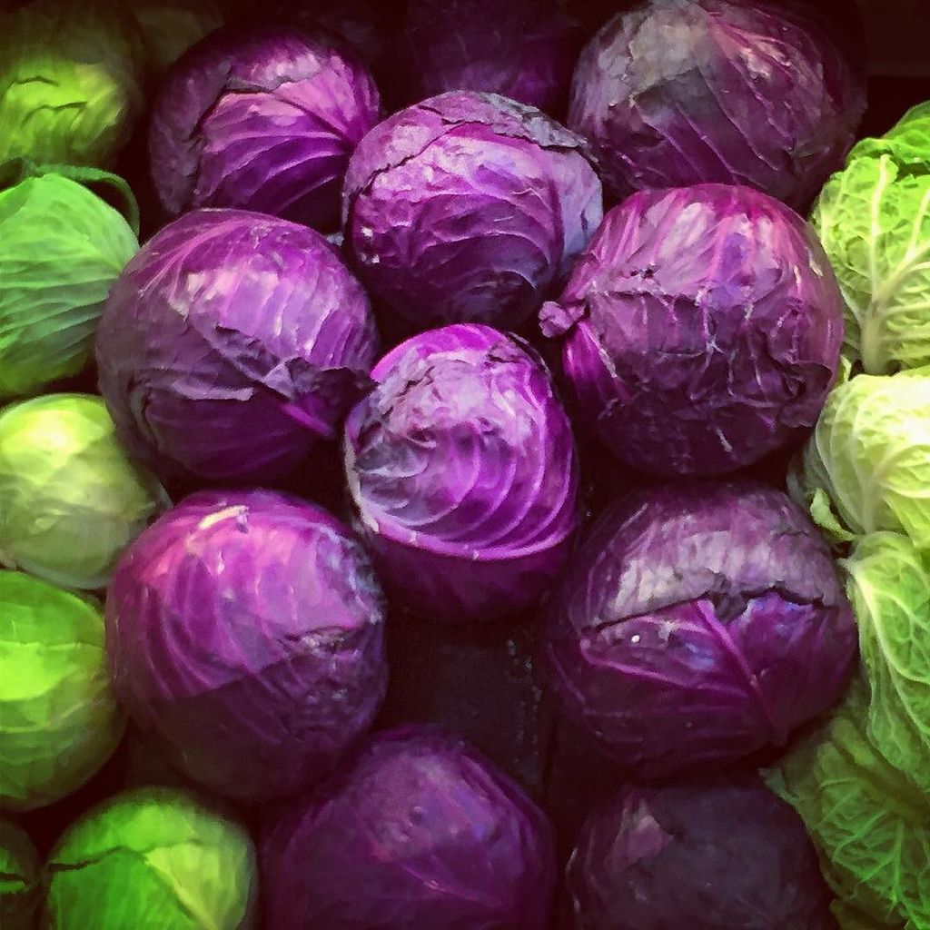 TerryHalsey's tweet photo. Eye Food... #cabbage #healthyfood #healthychoices #lifestylephotography #houston #sproutsf… https://t.co/8IzUaPnJP7 https://t.co/m4SNg2zJIK
