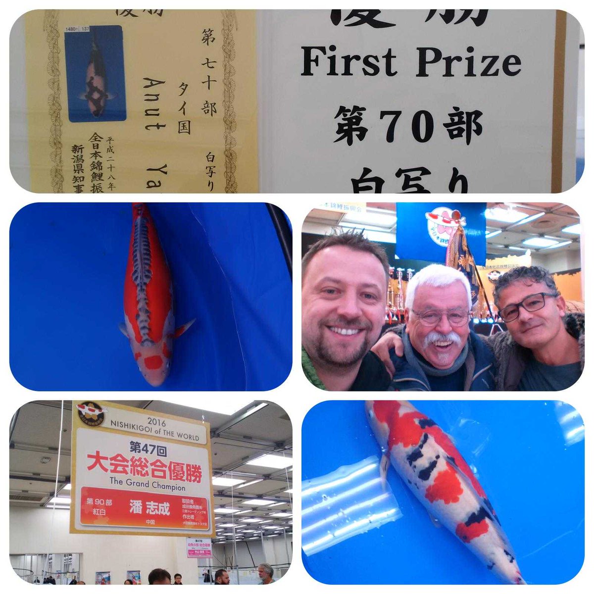 InfoBachi's tweet photo. All japan koi show tokio https://t.co/64G1LzYXRV
