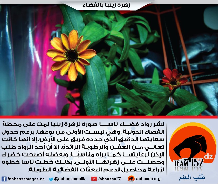 abbassamalik's tweet image. زينيا الكونية : تفتح #زهرة #زينيا على محطة #الفضاء الدولية
#طلب_العلم #علوم