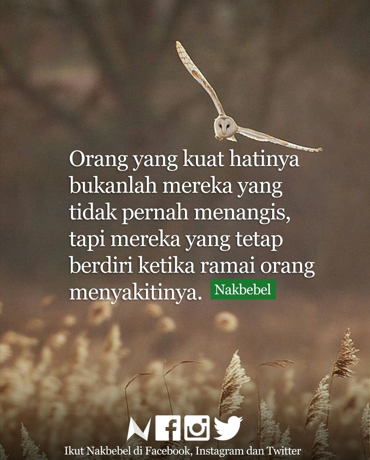 Bertahanlah 1cak Quotes Pinterest IndonesiaGambar Dp Bbm Lucu