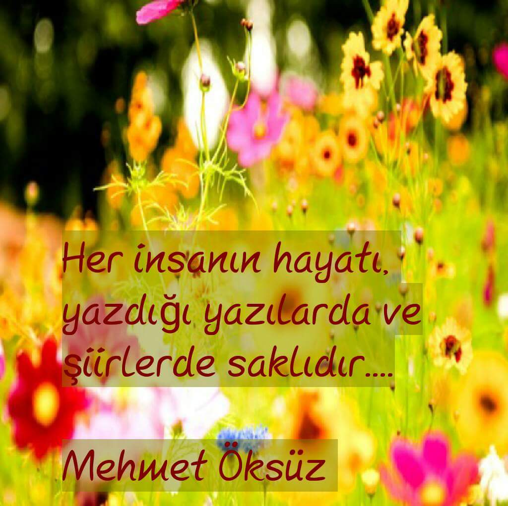 KucukogluGul's tweet photo. https://t.co/FkR4dlUnF4