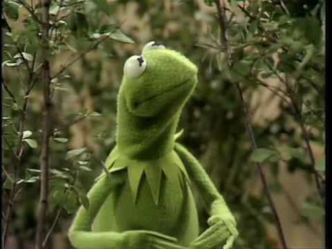 YourNiggaKermit's tweet photo. After you tell someone "bless you" twice and they keep sneezing https://t.co/YpgNjYuw3o