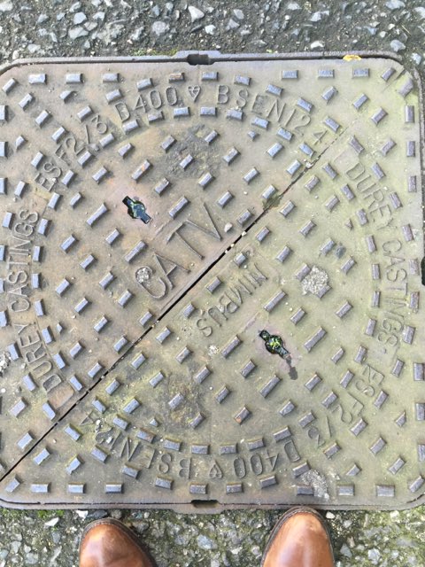 nikki_vz's tweet photo. a tax partner (A TAX PARTNER) at my company sent me this awesome picture! #londontype https://t.co/nUDHpKiHNQ