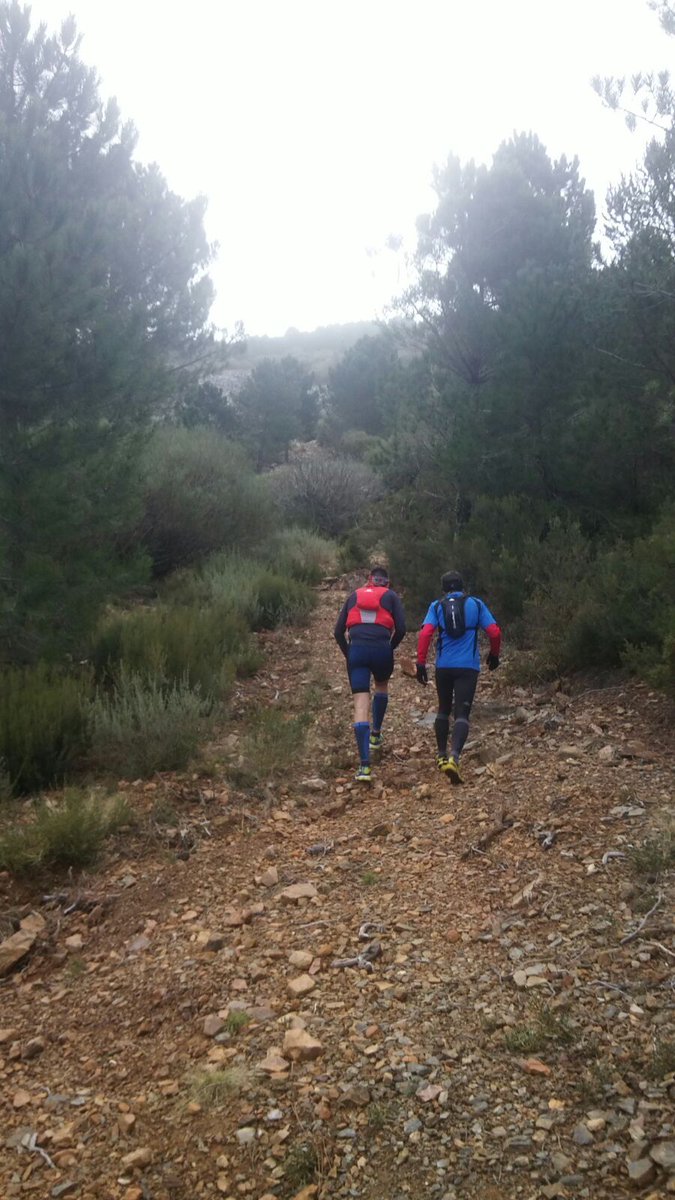 oscargsas's tweet photo. Espectacular training @TRESVALLES_ en inmejorable cía @sierraj2 #AlexHdez #FrosTeam #WeRunIntoTheWild #trail #Extrem https://t.co/B0iXW7JYVW